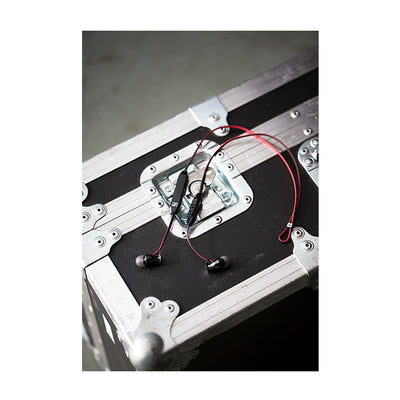 MOMENTUM Free 【M2 IEBT SW】