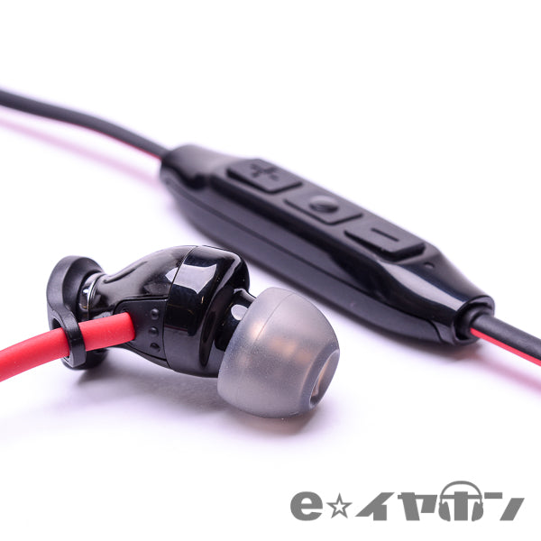 MOMENTUM Free 【M2 IEBT SW】