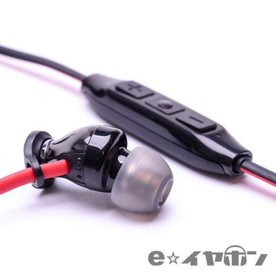 MOMENTUM Free 【M2 IEBT SW】