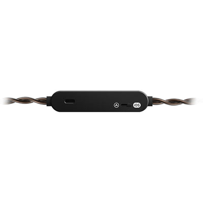 AKG N5005【AKGN5005BLKJP】