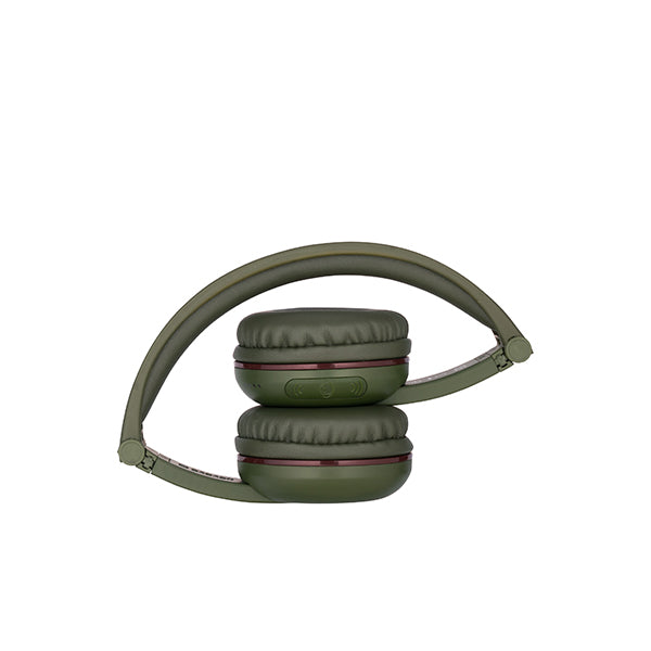 BuddyPhones Play