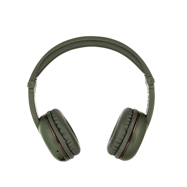 BuddyPhones Play