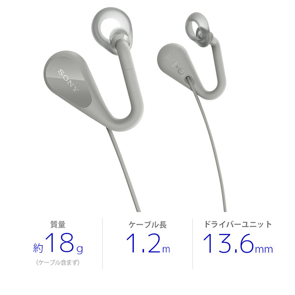 SONY STH40DJP – e☆イヤホン