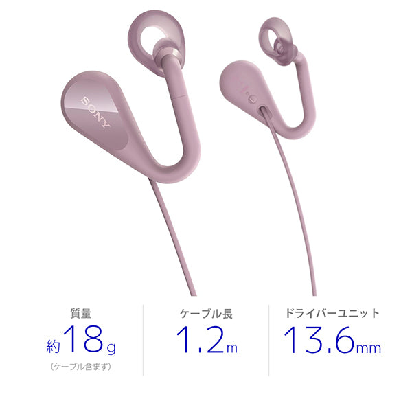 SONY STH40DJP – e☆イヤホン