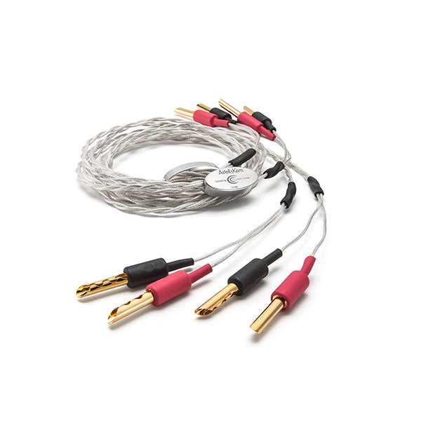 イヤホン Astell&Kern Crystal Cable Next Astell_KernPEF232Pinto2.