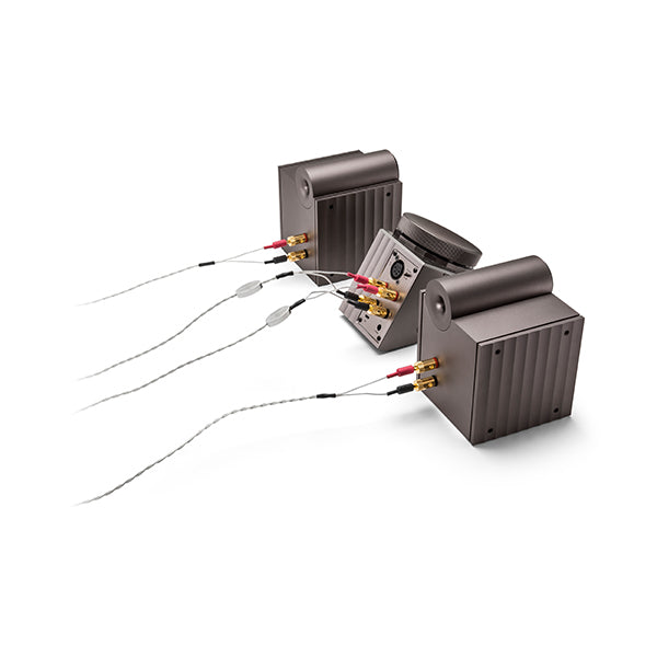 Astell&Kern speaker Cable-DEF21 by Crystal Cable – e☆イヤホン