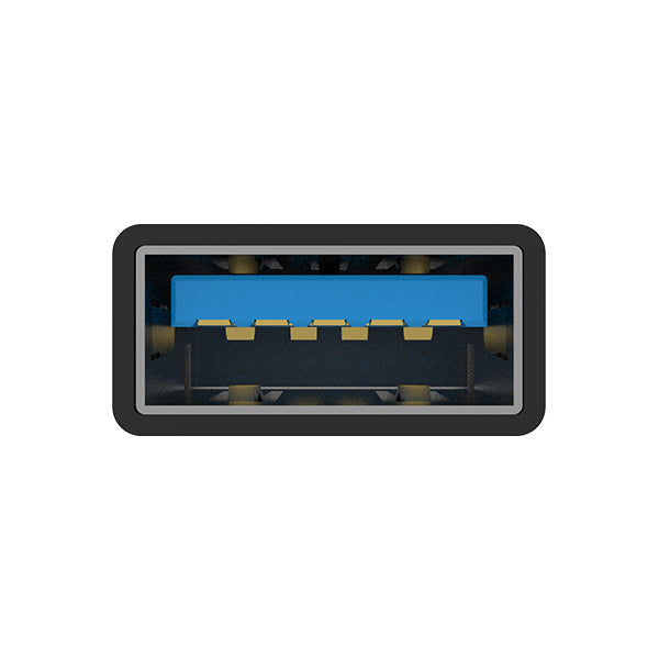 オーディオファイルOTG (USB-Cタイプ)