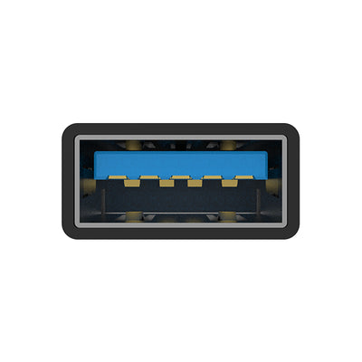 オーディオファイルOTG (USB-Cタイプ)