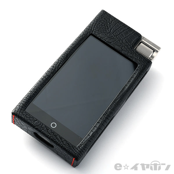 N5iiS DAP（ステンレススチール筐体）