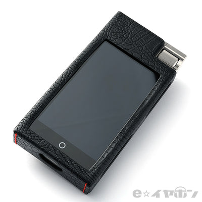 N5iiS DAP（ステンレススチール筐体）