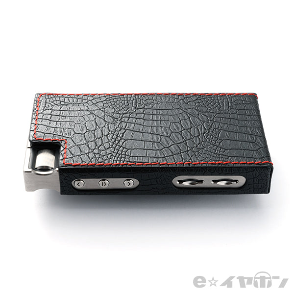 Cayin N5iiS DAP（ステンレススチール筐体） – e☆イヤホン