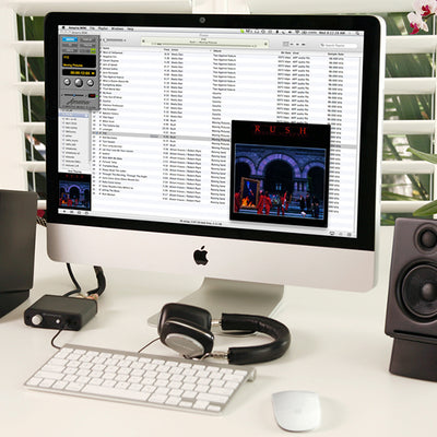 D1 24BIT DAC/ヘッドホンアンプ