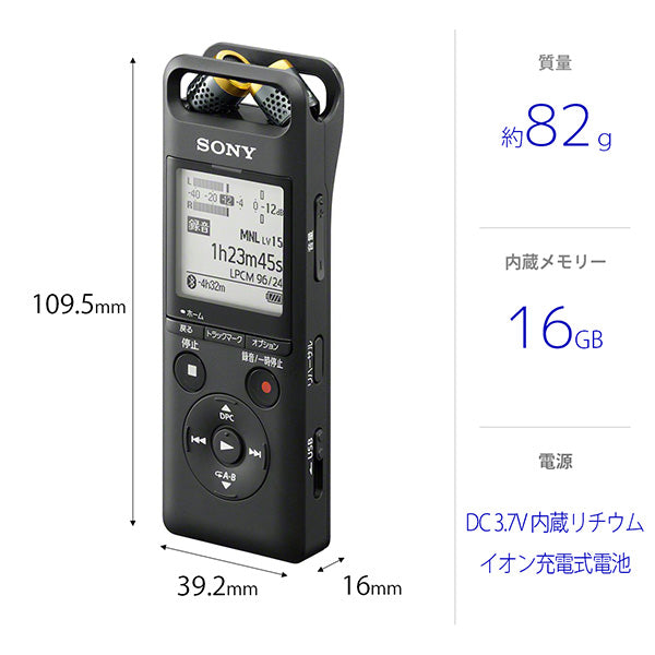 SONY PCM-A10 – e☆イヤホン