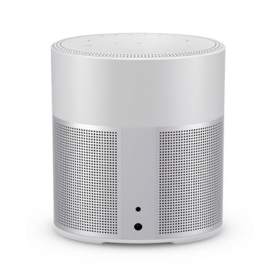 HOME SPEAKER 300