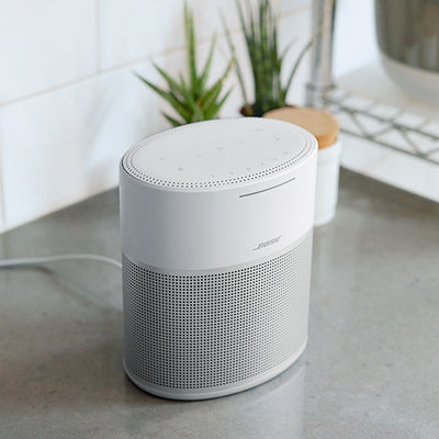 HOME SPEAKER 300