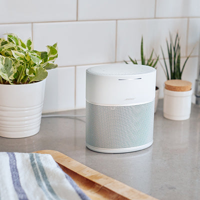 HOME SPEAKER 300
