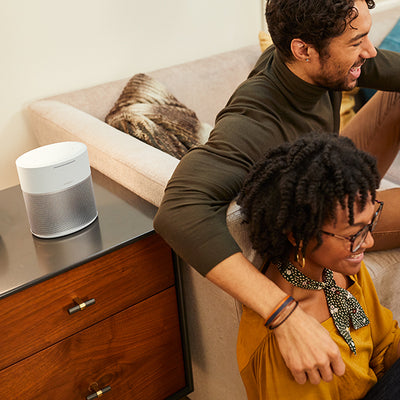 HOME SPEAKER 300