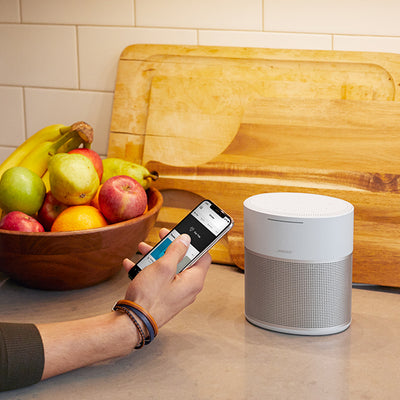 HOME SPEAKER 300