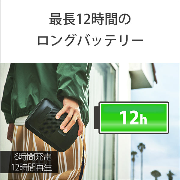 SRS-XB402M BC