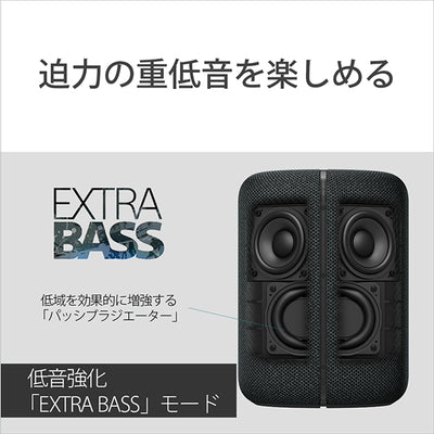 SRS-XB402G BC