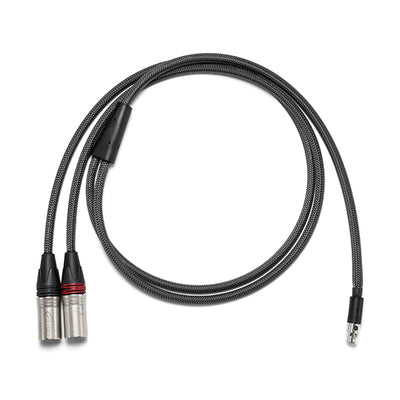 PEE41 5pin mini XLR to 3pin XLR 【PEE41-XLR-CABLE】