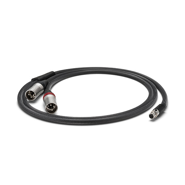 PEE41 5pin mini XLR to 3pin XLR 【PEE41-XLR-CABLE】