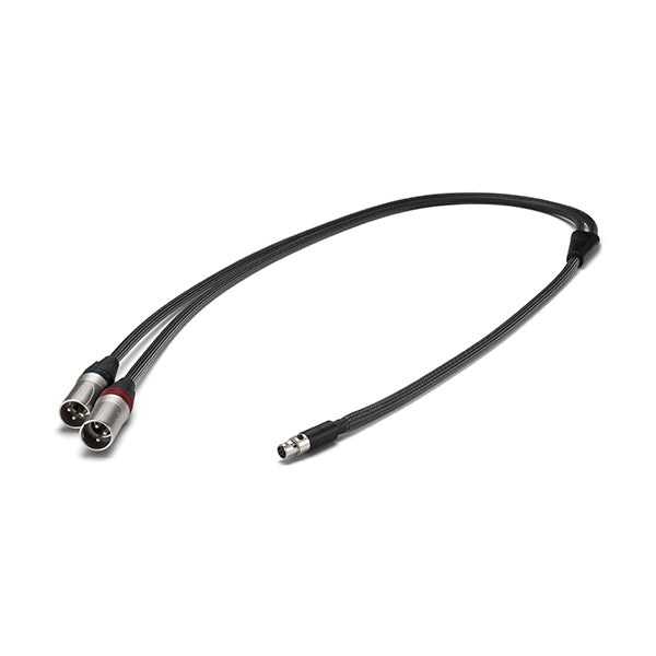PEE41 5pin mini XLR to 3pin XLR 【PEE41-XLR-CABLE】