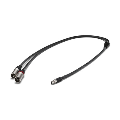 PEE41 5pin mini XLR to 3pin XLR 【PEE41-XLR-CABLE】