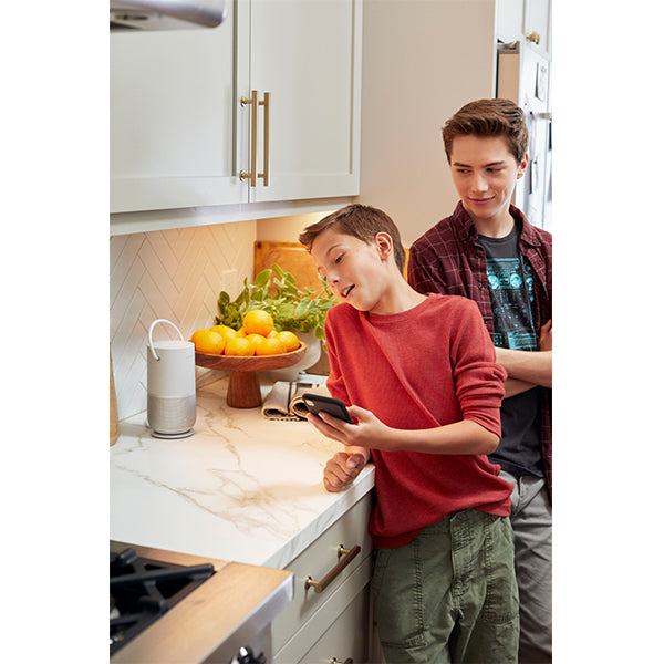 Bose Portable Home Speaker charging cradle