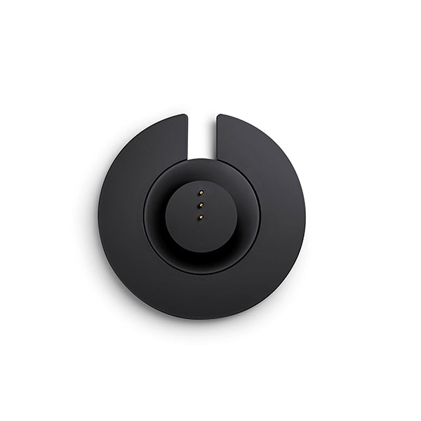 Bose Portable Home Speaker charging cradle