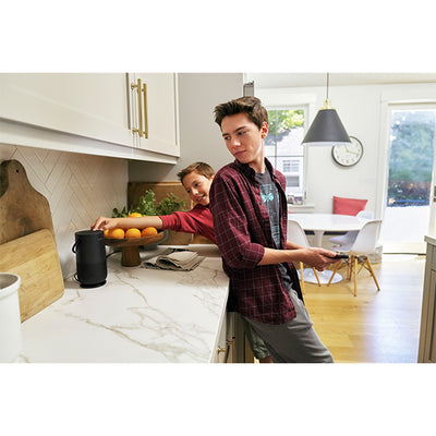 Bose Portable Home Speaker charging cradle