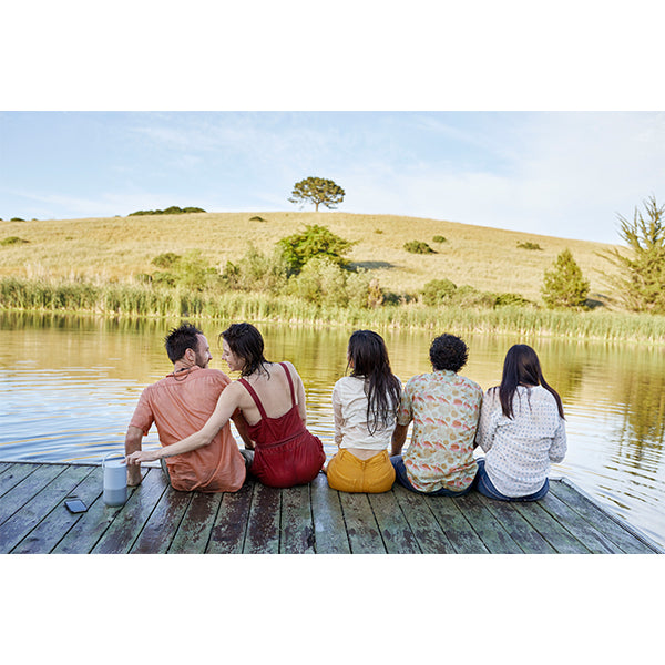 Bose Portable Smart Speaker