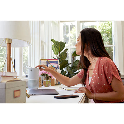 Bose Portable Smart Speaker