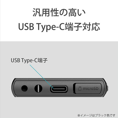 NW-A100TPS (ウォークマン40周年記念モデル)