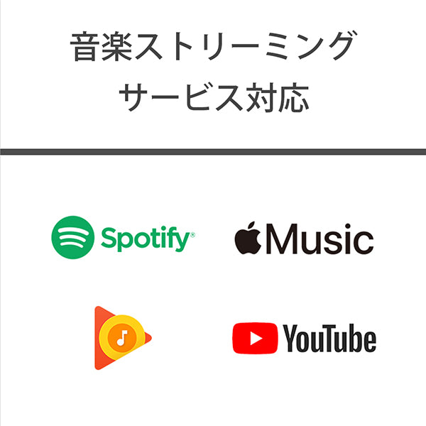 NW-A100TPS (ウォークマン40周年記念モデル)
