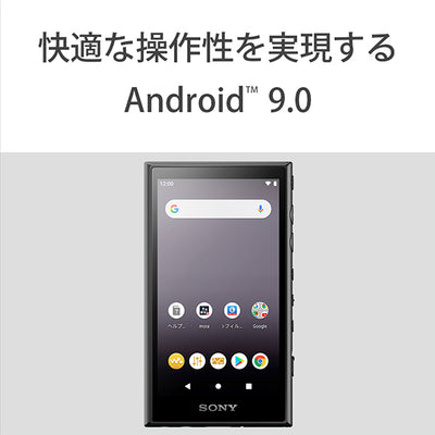NW-A100TPS (ウォークマン40周年記念モデル)