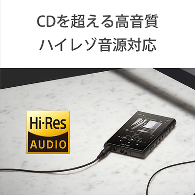 NW-A100TPS (ウォークマン40周年記念モデル)