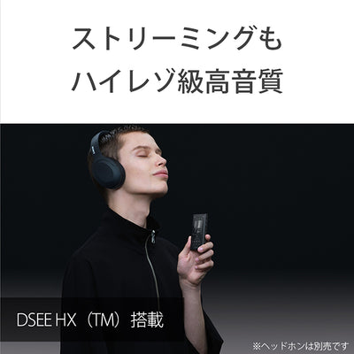 NW-A100TPS (ウォークマン40周年記念モデル)