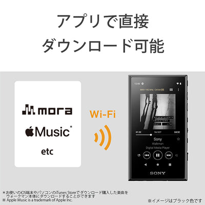 NW-A100TPS (ウォークマン40周年記念モデル)