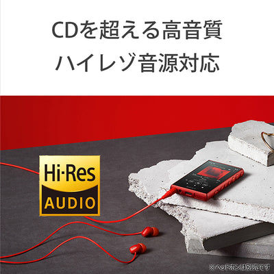 NW-A105HN