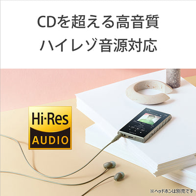 NW-A105HN