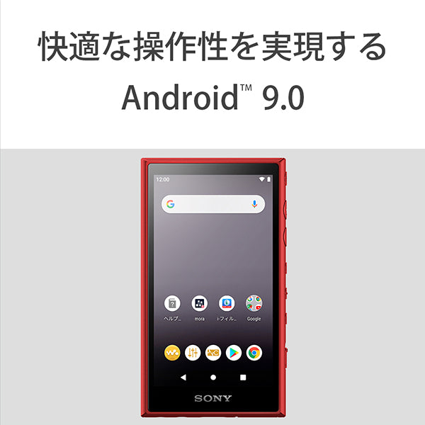 SONY NW-A107 – e☆イヤホン