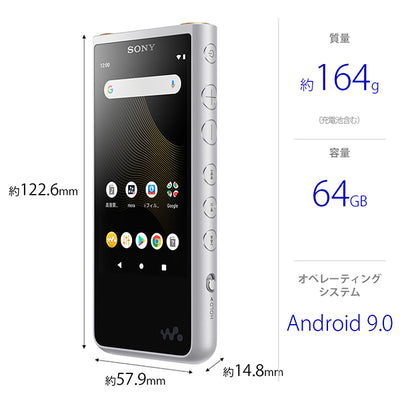 SONY NW-ZX507 – e☆イヤホン