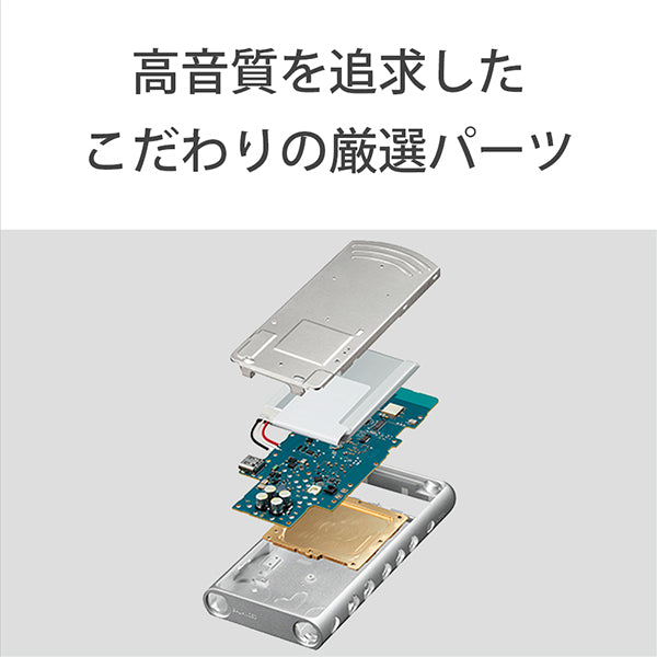 SONY NW-ZX507 – e☆イヤホン