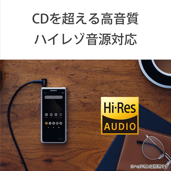 SONY NW-ZX507 – e☆イヤホン