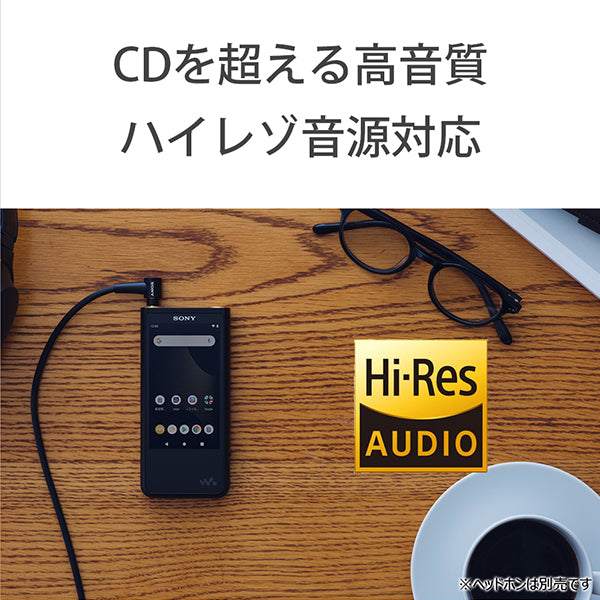 SONY NW-ZX507 – e☆イヤホン