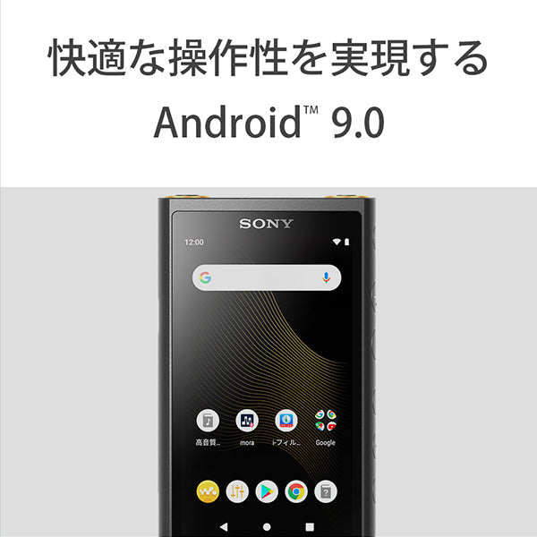 SONY NW-ZX507 – e☆イヤホン