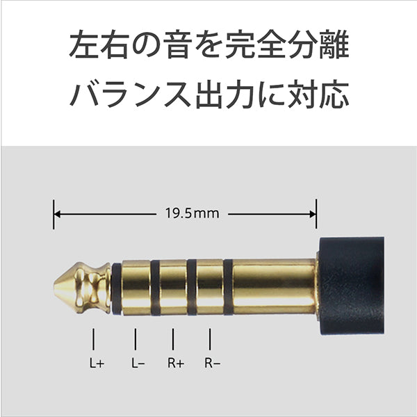 SONY NW-ZX507 – e☆イヤホン SONY NW-ZX507 – e☆イヤホン