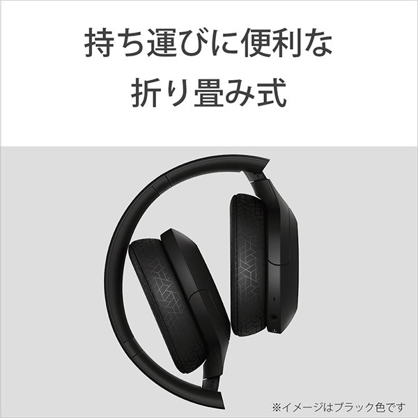WH-H910N
