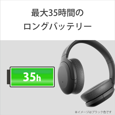 WH-H910N